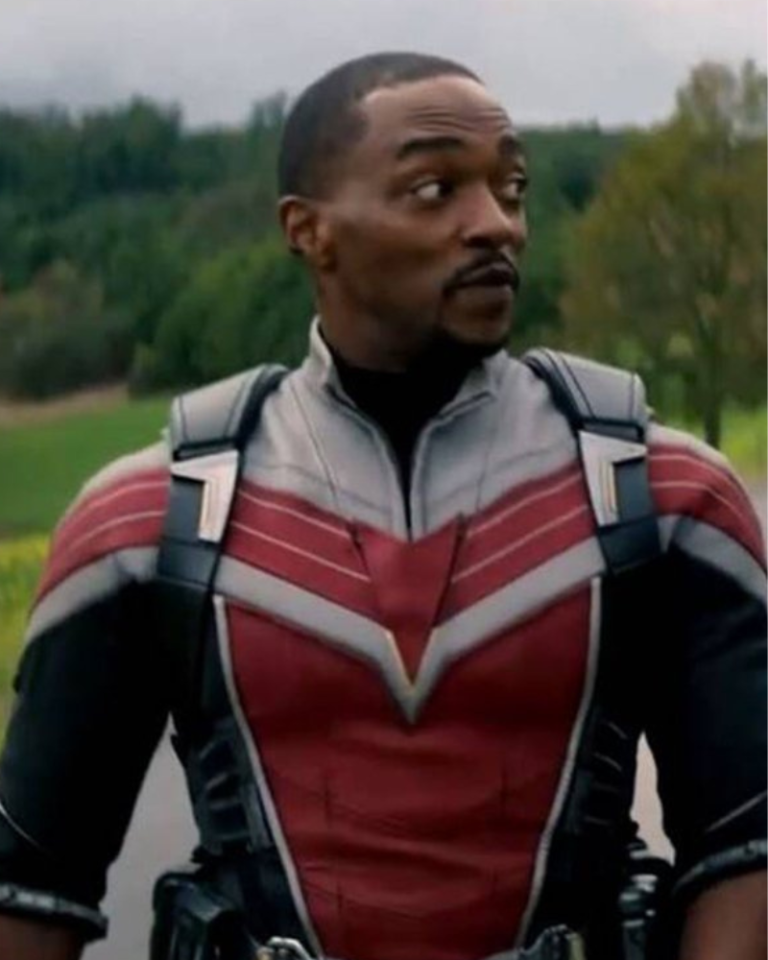 Anthony Mackie The Falcon And The Winter Soldier Falcon Jacket